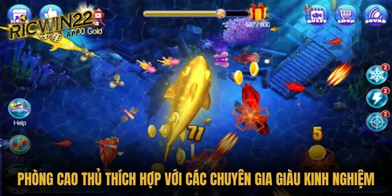 Phòng cao thủ thích hợp với các chuyên gia giàu kinh nghiệm