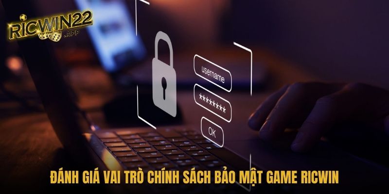  Đánh giá vai trò chính sách bảo mật game Ricwin