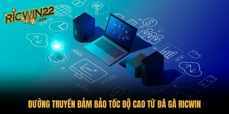 Đường truyền đảm bảo tốc độ cao từ đá gà Ricwin