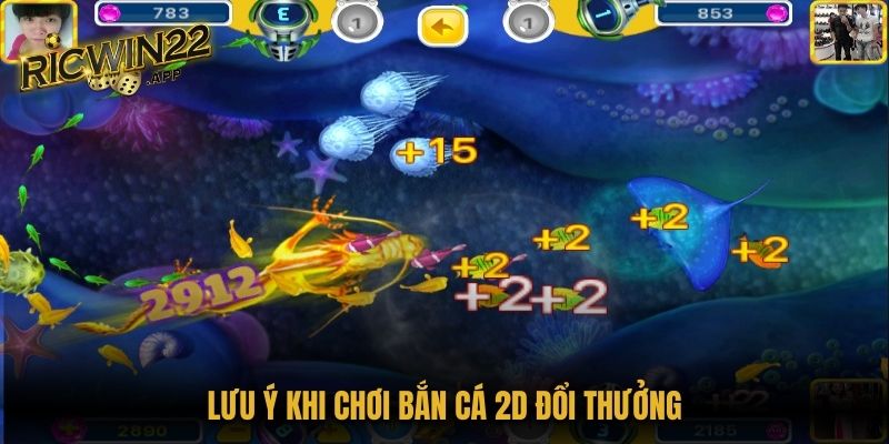 Lưu ý khi chơi bắn cá 2D đổi thưởng