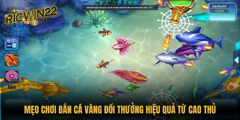 Mẹo chơi Bắn Cá Vàng đổi thưởng hiệu quả từ cao thủ